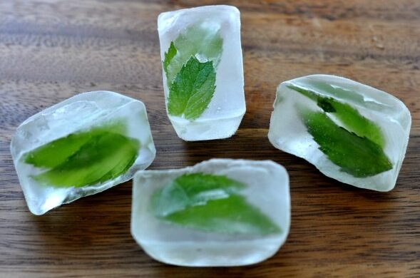frozen-mint-herb-ice-cubes-3213853