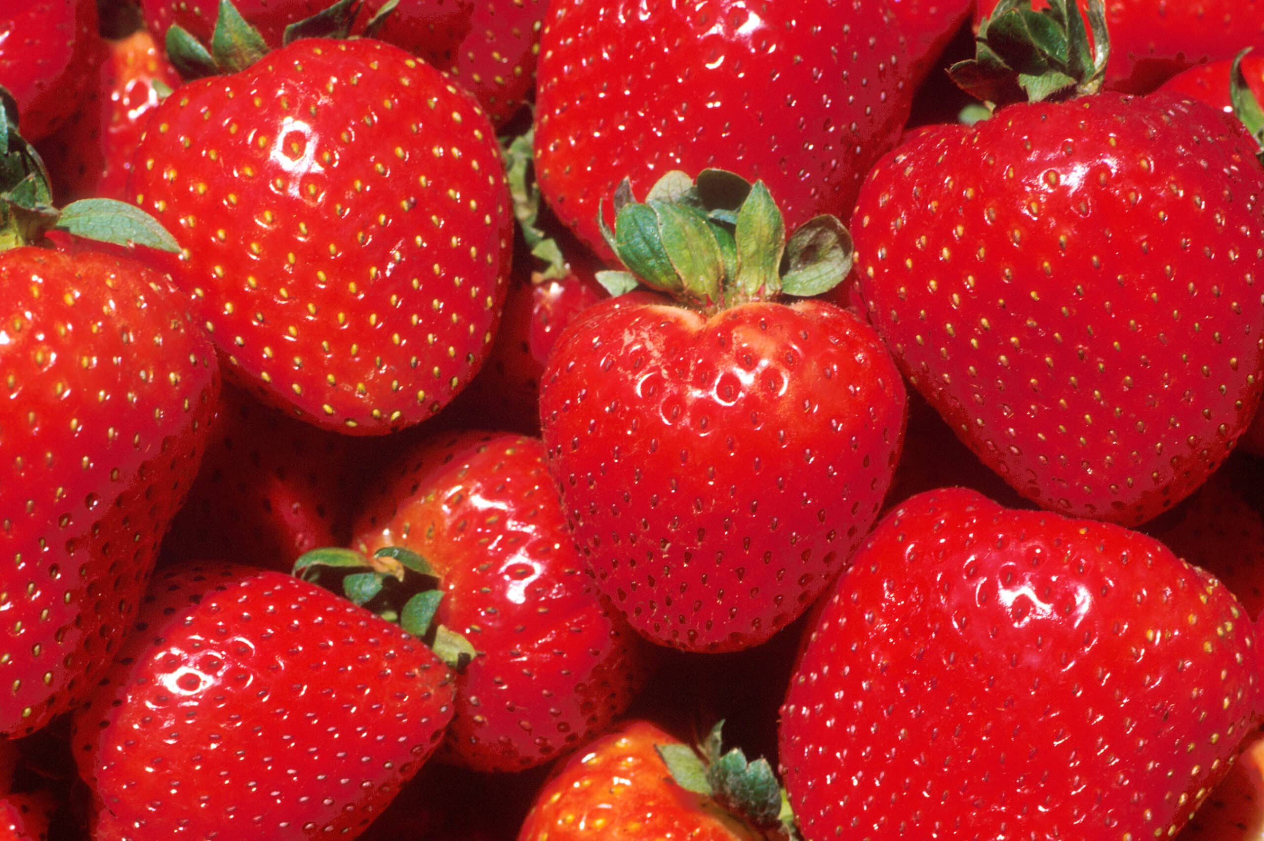strawberries-5500937