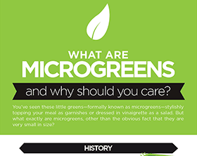 microgreens_infographic_t-3487259