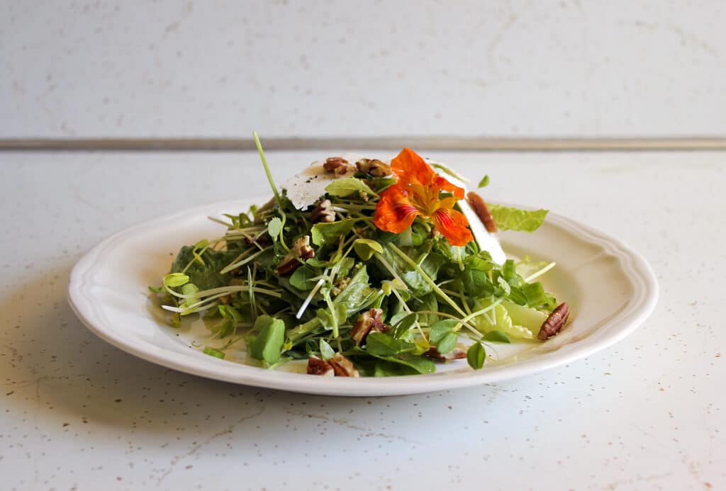 microgreens-salad-1583250