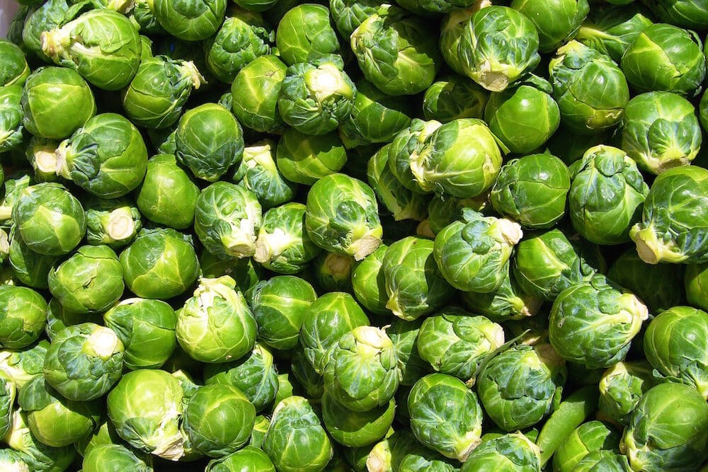 brussels_sprout_closeup-7896411