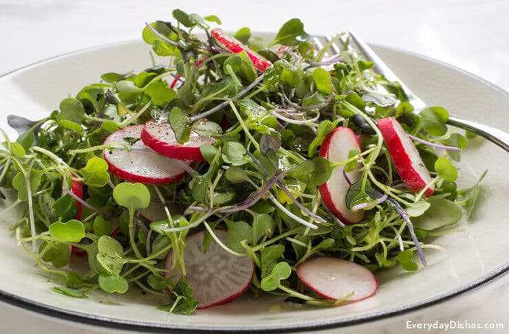 micro-green-salad-everydaydishes_com-h-740x486-3548558