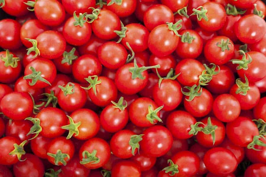 jesmond-fruit-barn-cherry-tomatoes-5920306