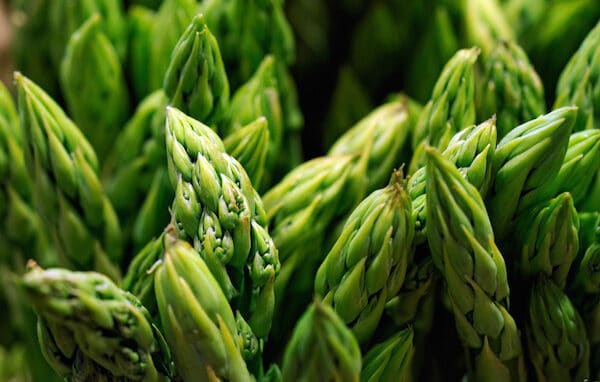 asparagus-1963230