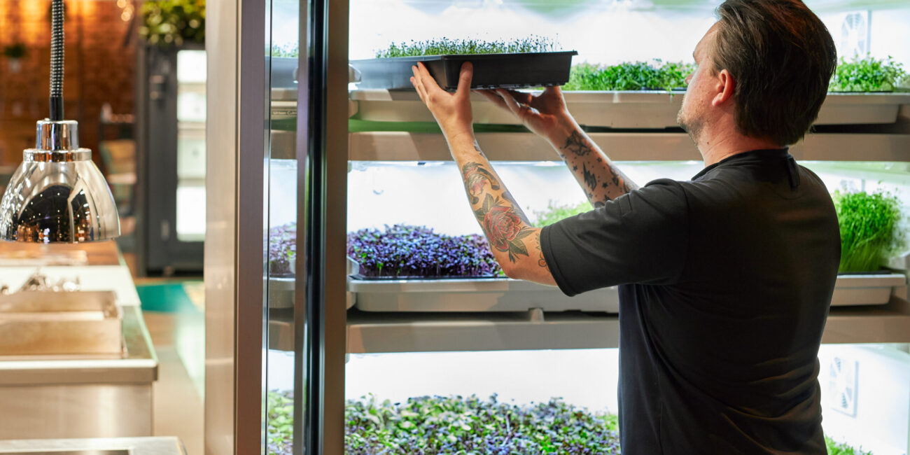 Urban Cultivator - Kamile Kave x SoMention - Storing microgreens